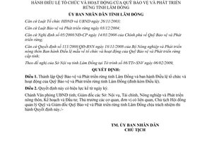 Quyết định 333/QĐ-UBND năm 2009 Quỹ Bảo vệ và Phát triển rừng Lâm Đồng