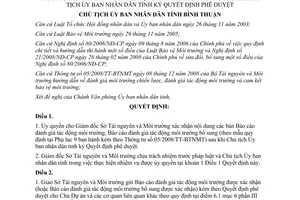 Quyết định 455/QĐ-UBND năm 1999 ủy quyền xác nhận bản báo cáo đánh giá tác động