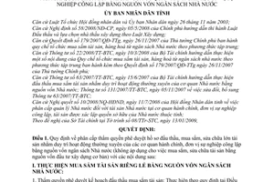 Quyết định  06/2009/QĐ-UBND  phân cấp thẩm quyền phê duyệt hồ sơ đấu thầu, mua sắm, sửa chữa lớn tài sản