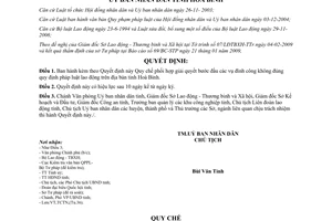 Quyết định 13/2009/QĐ-UBND Quy chế phối hợp giải quyết bước đầu vụ đình công