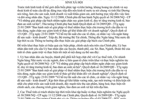 Chỉ thị 05/2009/CT-UBND thực hiện tốt giải pháp của Chính phủ nhằm ngăn chặn