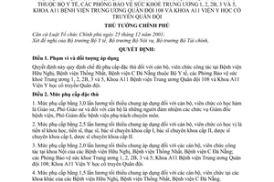 Quyết định 46/2009/QĐ-TTG quy định chế độ phụ cấp đặc thù cán bộ, viên chức công tác Bệnh viện Hữu Nghị, Bệnh viện Thống Nhất,Bệnh viện C Đà Nẵng