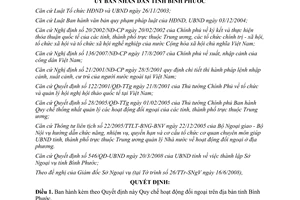 Quyết định 09/2009/QĐ-UBND Quy chế hoạt động đối ngoại trên địa bàn tỉnh