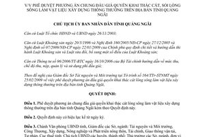 Quyết định 358/QĐ-UBND 2009 đấu giá khai thác cát lòng sông vật liệu xây dựng thông thường Quảng Ngãi