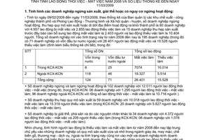 Báo cáo 1695/SLĐTBXH-LĐ lao động thôi mất việc 2008  số liệu thống kê 11/03/2009