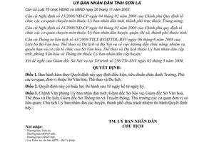 Quyết định 08/2009/QĐ-UBND điều kiện tiêu chuẩn Trưởng Phó đơn vị Sở Sơn La