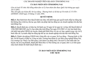 Quyết định 22/2009/QĐ-UBND quy chế phối hợp giải quyết tranh chấp lao động tập thể pháp luật lao động doanh nghiệp tỉnh Đồng Nai