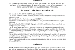 Quyết định 22/2009/QĐ-UBND  trình tự, thủ tục triển khai dự án đầu tư