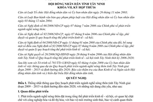 Nghị quyết 09/2009/NQ-HĐND Quy hoạch phát triển ngành nghề nông thôn Tây Ninh