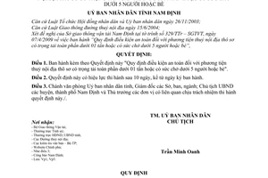 Quyết định 08/2009/QĐ-UBND quy định điều kiện an toàn phương tiện thuỷ nội địa thô sơtrọng tải toàn phần dưới 01 tấn 5 người