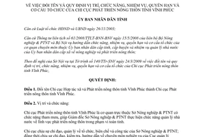 Quyết định 22/2009/QĐ-UBND chức năng quyền hạn cơ cấu Chi cục Phát triển nông thôn Vĩnh Phúc