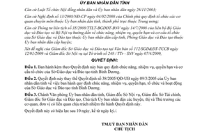 Quyết định 19/2009/QĐ-UBND chức năng nhiệm vụ quyền hạn Sở GD&ĐT Bình Dương