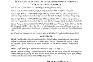 Quyết định 15/2009/QĐ-UBND điều kiện tiêu chuẩn Trưởng Phó đơn vị Sơn La
