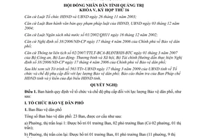 Nghị quyết 07/2009/NQ-HĐND phụ cấp lực lượng Bảo vệ dân phố Quảng Trị