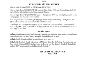 Quyết định 29/2009/QĐ-UBND về Quy định tạm thời chức năng, nhiệm vụ, quyền hạn v