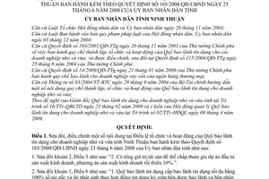 Quyết định 125/2009/QĐ-UBND sửa đổi Điều lệ tổ chức hoạt động Quỹ bảo lãnh tín dụng nghiệp nhỏ và vừa tỉnh Ninh Thuận hướng dẫn 165/2008/QĐ-UBND