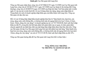 Công văn 1861/TCHQ-GSQL năm 2009 phân loại mặt hàng thép cuộn cán nóng