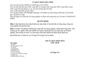 Quyết định 18/2009/QĐ-UBND Quy định liên kết đầu tư trồng rừng, trồng cây công nghiệp tỉnh Đắk Lắk