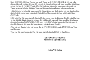 Công văn 2489/TCHQ-GSQL hướng dẫn thực hiện Thông tư 07/2009/TT-BCT