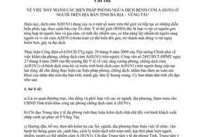 Chỉ thị 16/2009/CT-UBND đẩy mạnh biện pháp phòng ngừa dịch cúm A H1N1 ở người