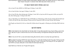 Quyết định 12/2009/QD-UBND công nhận sáng kiến trong công tác Đảng Lào Cai