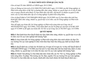 Quyết định 28/2009/QĐ-UBND nhiệm vụ quyền hạn Chi cục Lâm nghiệp Quảng Ngãi