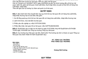 Quyết định 1171/QĐ-TCHQ ban hành quy trình thủ tục hải quan hàng hóa xuất khẩu nhập khẩu thương mại