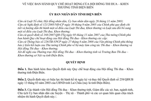 Quyết định 06/2009/QĐ-UBND Quy chế hoạt động Hội đồng Thi đua Khen thưởng