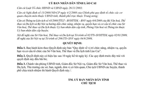 Quyết định 15/2009/QĐ-UBND vị trí chức năng nhiệm vụ quyền hạn cơ cấu tổ Sở