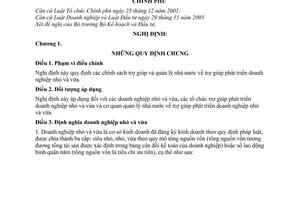 Nghị định 56/2009/NĐ-CP trợ giúp phát triển doanh nghiệp nhỏ vừa