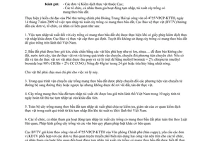 Công văn 1038/BVTV-KD  tạm nhập tái xuất cây trồng có mang theo bầu đất Cục Bảo vệ thực vật