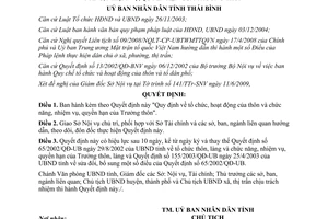 Quyết định 06/2009/QĐ-UBND Quy định tổ chức hoạt động của thôn và trưởng thôn
