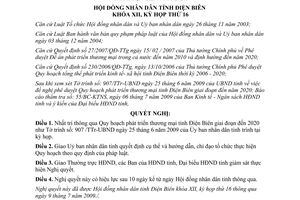 Nghị quyết 167/2009/NQ-HĐND Quy hoạch phát triển thương mại Điện Biên đến 2020