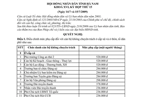Nghị quyết 04/2009/NQ-HĐND điều chỉnh mức phụ cấp cán bộ không chuyên trách ở cấp xã  thôn, tổ dân phố