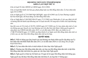 Nghị quyết 12/2009/NQ-HĐND quy hoạch sử dụng khoáng sản Bình Định đến 2015