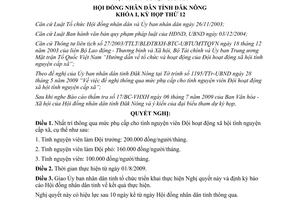 Nghị quyết 03/2009/NQ-HĐND phụ cấp tình nguyện viên Đội hoạt động xã hội Đắk Nông