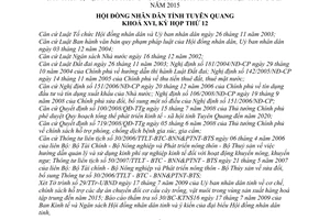 Nghị quyết 13/2009/NQ-HĐND cơ chế, chính sách hỗ trợ