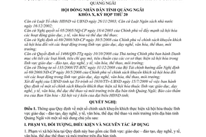 Nghị quyết 10/2009/NQ-HĐND chính sách khuyến khích thực hiện xã hội hoá thuộc lĩnh vực giáo dục, dạy nghề, y tế, văn hoá, thể dục thể thao môi trường