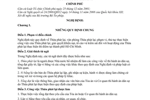 Nghị định 61/2009/NĐ-CP tổ chức hoạt động thừa phát lại thực hiện thí điểm tại thành phố Hồ Chí Minh