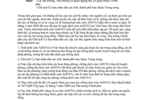 Công điện 1245/CĐ-TTg hạn chế lây lan dịch cúm A(H1N1)