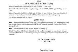 Quyết định 17/2009/QĐ-UBND tiêu chuẩn Trưởng Phó phòng cơ quan chuyên môn Quảng Trị