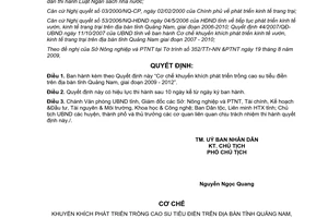 Quyết định 26/2009/QĐ-UBND cơ chế khuyến khích phát triển trồng cao su Quảng Nam