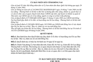 Quyết định 55/2009/QĐ-UBND  quy định  tổ chức và hoạt động  Chi cục Bảo trợ xã hội chăm sóc trẻ em