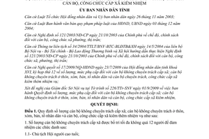 Quyết định 12/2009/QĐ-UBND số lượng mức phụ cấp cán bộ không chuyên trách Tuyên Quang