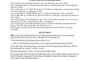 Quyết định 16/2009/QĐ-UBND thực hiện chế độ phụ cấp cho cán bộ cơ sở