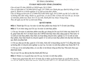 Quyết định 73/2009/QĐ-UBND thành lập chức năng, nhiệm vụ quyền hạn tổ chức  biên chế Chi cục An toàn vệ sinh thực phẩm trực thuộc Sở Y