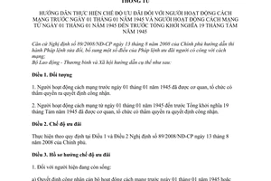 Thông tư 29/2009/TT-BLĐTBXH chế độ ưu đãi người hoạt động cách mạng trước 01/01/1945 Tổng khởi nghĩa 19/08/1945