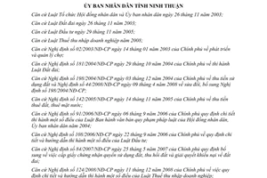 Quyết định 272/2009/QĐ-UBND đầu tư chợ siêu thị trung tâm thương mại Ninh Thuận