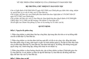 Quyết định 286/QĐ-UBDT phân công nhiệm vụ  lãnh đạo Ủy ban Dân tộc