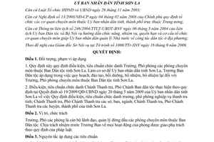 Quyết định 34/2009/QĐ-UBND điều kiện tiêu chuẩn Trưởng phó phòng chuyên môn